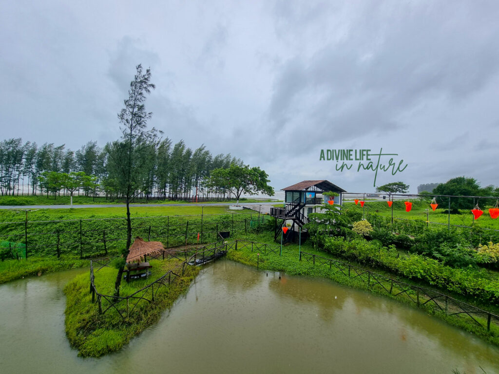 Chuti Resort Cox's Bazar Panoramic View